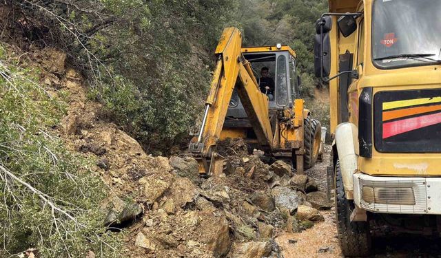 Karacasu'da yağış bilançosu: Toprak kaydı, ağaçlar devrildi