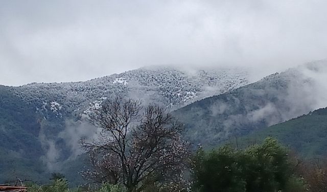 Karacasu'da kar ve bahar aynı karede