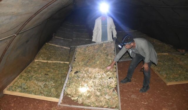 Karacasu'da tütün üreticileri başkanlardan destek bekliyor