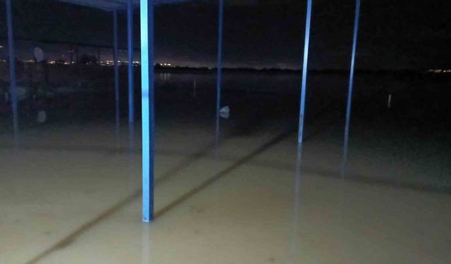 Koçarlı’da su baskını sonrası hayvan tahliyesi sürüyor