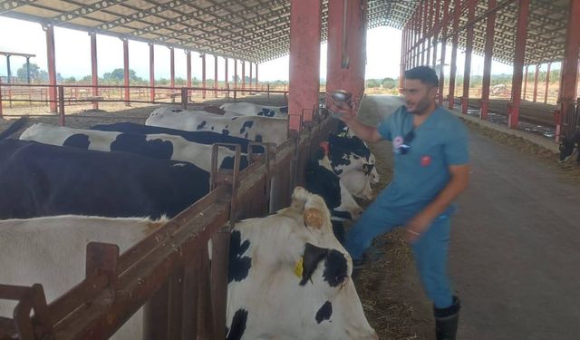 Nazilli'de karantina kaldırıldı