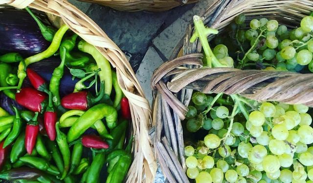 Söke Ovası’nda Türkiye'ye ''Pestisitsiz'' devrim