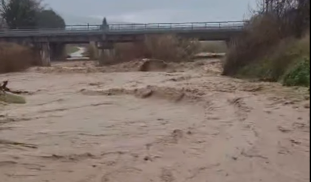 Aydın'da sel kabusu