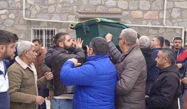 Aydın'da asırlık çınar 107 yaşında hayatını kaybetti