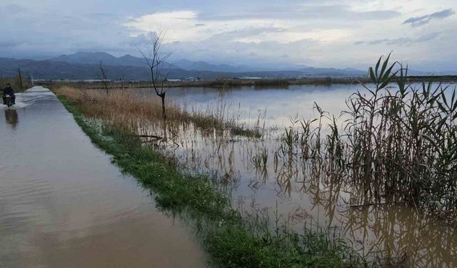 Sultanhisar’da kurutma kanalı taştı, tarım arazileri göle döndü