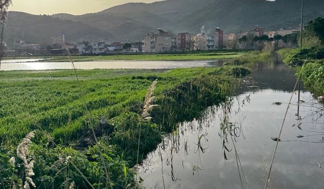 Taşkın, Bıyıklı’ya dayandı: Muhtar Turgan: “Mahalleyi su basacak”