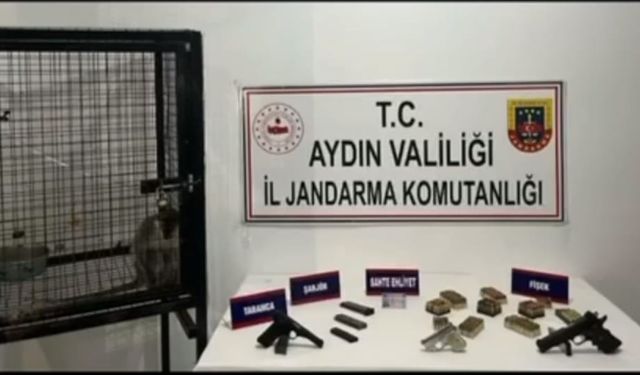 Aydın’da şok operasyon: Baskın yapılan evden maymun çıktı