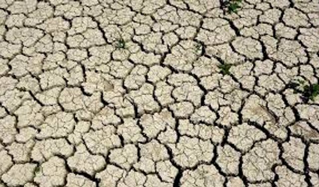 Yağışlar var ama Aydın’da kuraklık tehdidi sürüyor