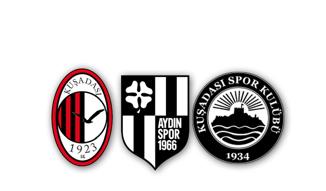 Aydın'da BAL kabusu