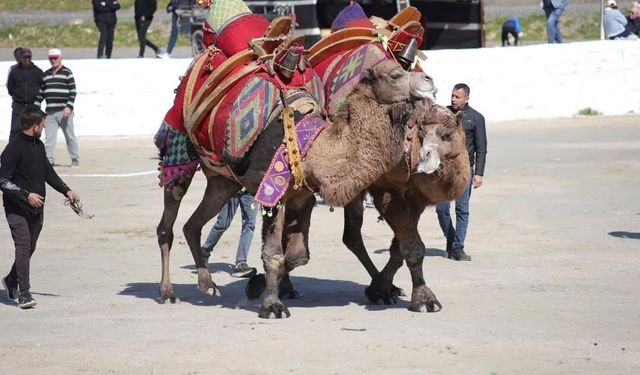 'Bu yıl sezonun ilk güreşlerini yapmak bizlere nasip oldu'