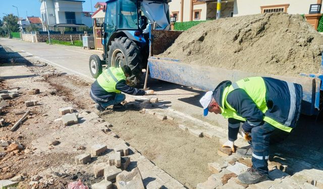 Didim Belediyesi Akbük’te saha çalışmalarını sürdürüyor