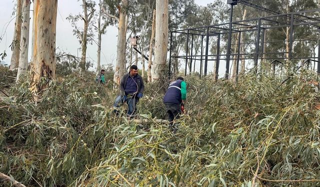 Efeler’de güvenli yeşil alan seferberliği: Tepecik Mesire Alanı yenileniyor
