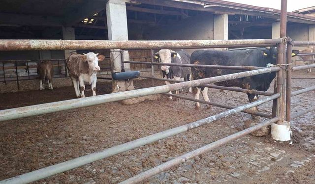 Germencik’te alarm: 19 mahalle karantinaya alındı