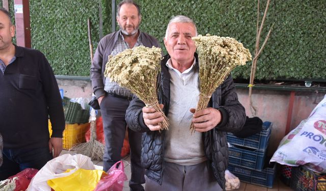 Karacasulu satıcı Karadeniz çayına kafa tutuyor