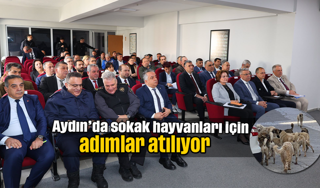 Aydın’da sokak hayvanları için adımlar atılıyor