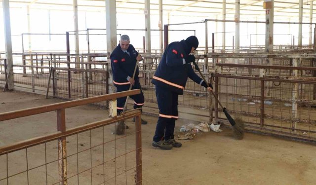 Nazilli'de hayvan pazarı 7 ay sonra yeniden açılıyor
