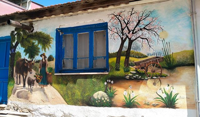 Aydın'ın o mahallesi sanata boyandı: Bir duvarla başladı