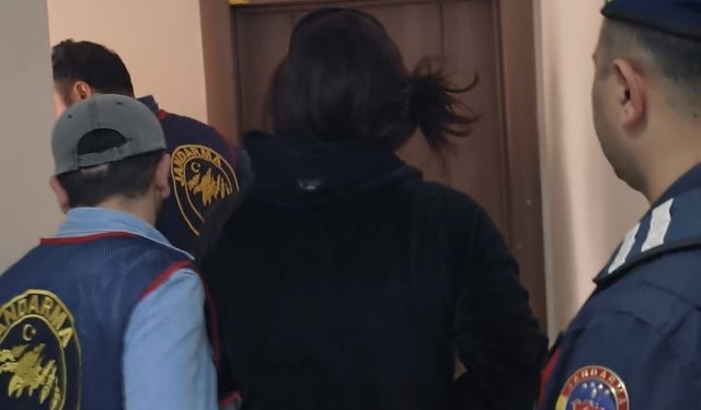 Nazilli’de film gibi operasyon: Jandarmaya teslim olmamak için pitbull köpeğiyle kendini savundu