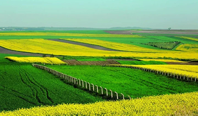 TOKİ’den 45 ilde dev arsa satışı: İçlerinde Aydın'da var