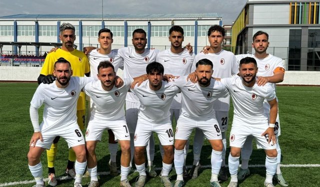 90 yıllık çınar küme düşme yolunda