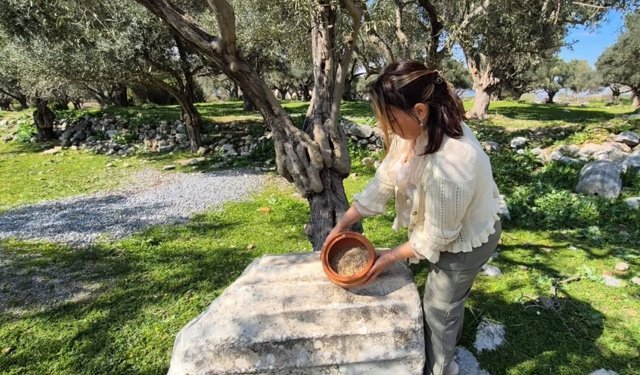 Aydın’ın 400 Yıllık lezzet hafızası: Dünyanın en saygın gastronomi ödülüne aday!