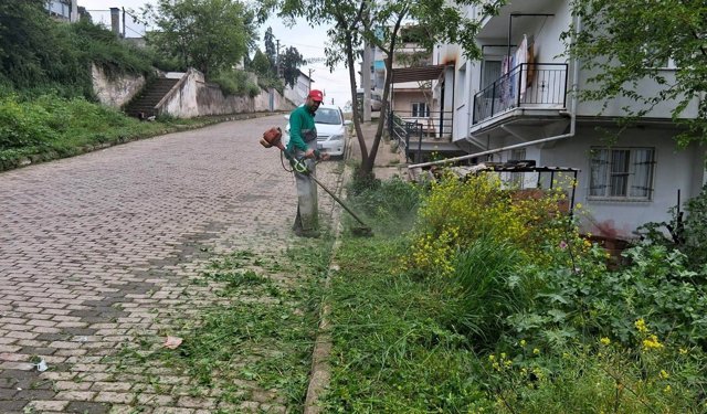 Başkan Yetişkin’le Efeler’de bahar temizliği seferberliğe dönüştü