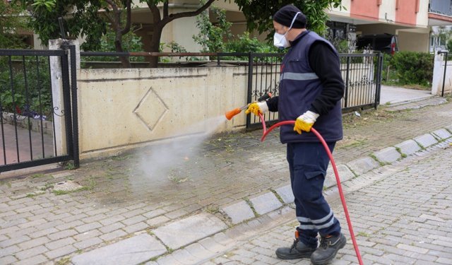 Efeler Belediyesi, halk sağlığı ve kent estetiği için çalışmalarını sürdürüyor