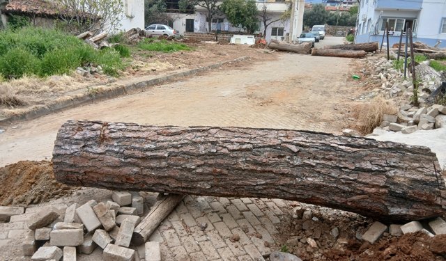 Karacasu'da ilginç olay: Marangoz "Yol Benim" diyerek sokağı tomruklarla kapattı