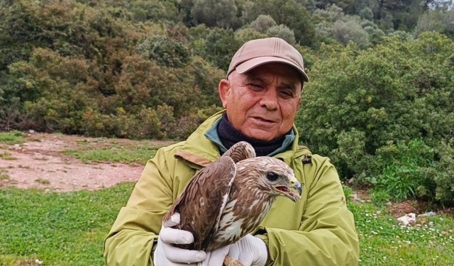 Kuşadası’nda yaralı şahin tedavisinin ardından doğaya bırakıldı