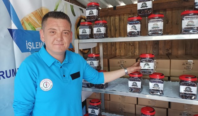 Nazilli zeytinine ‘mahkum’ dokunuşu