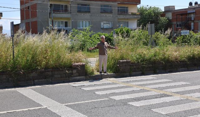 Nazilli’de ot tartışması büyüyor: 'Önce işinizi yapın, sonra konuşun'