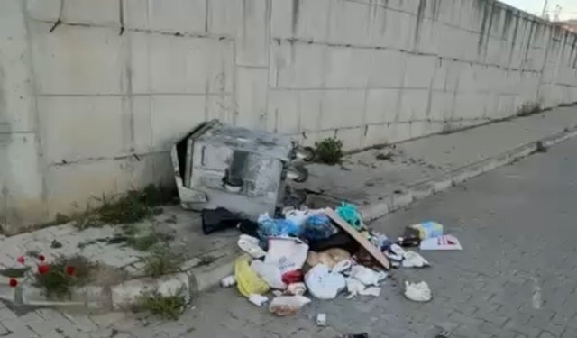 Nazilli’de vicdan sızlatan görüntü: Sabah bu manzaraya uyandılar