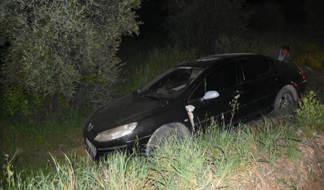 Karacasu'da otomobil zeytin tarlasına düştü: 1 yaralı