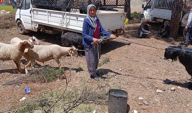 Karacasulu üretici: "100 kilo hayvan 32 bin lira, bir çuval yem 1000 lira"