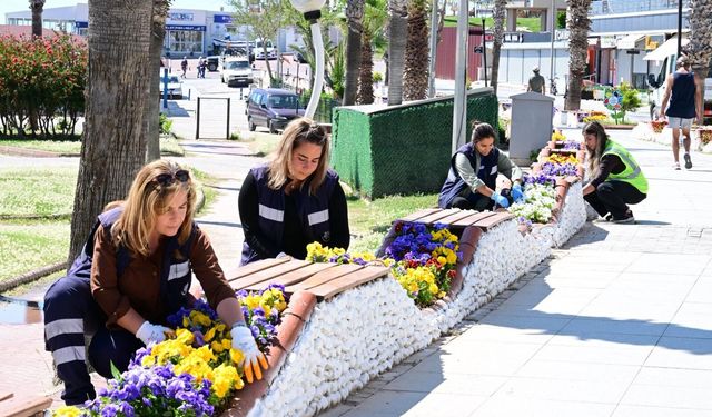 Aydın Büyükşehir’den Didim’e renkli dokunuş