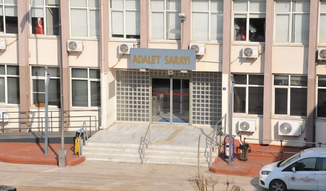 Aydın’da mide bulandıran olay: Sokak köpeğine taciz iddiası