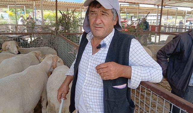 Aydınlı hayvan üreticisi: "Bu ekonomiyi çözmeye matematik yetmiyor"