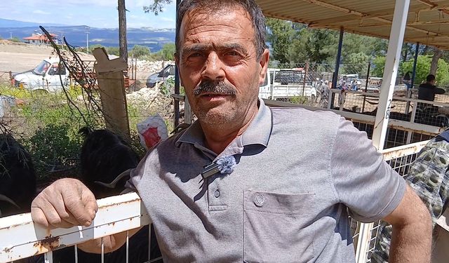 Babadağ'dan Karacasu'ya gelen besici: "Önceden bir tane kalmazdı, şimdi siftah yapamadık"