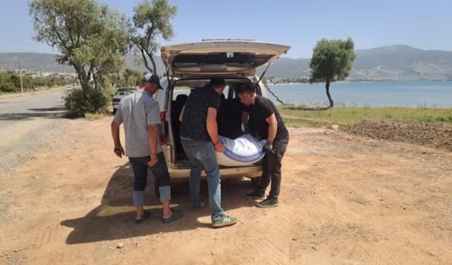 Başkan Çerçioğlu’ndan Didim’de küçük üreticilere yem desteği