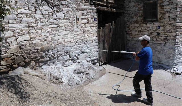 Bozdoğan’da haşereye karşı kireçleme çalışmaları sürüyor