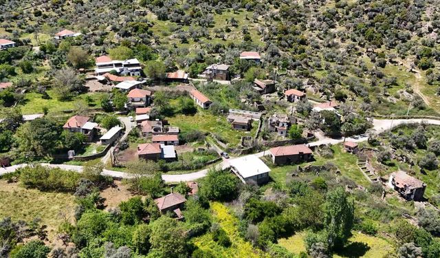 Bir zamanlar yüzlerce kişi yaşıyordu: Aydın’daki köy hayalet köye döndü