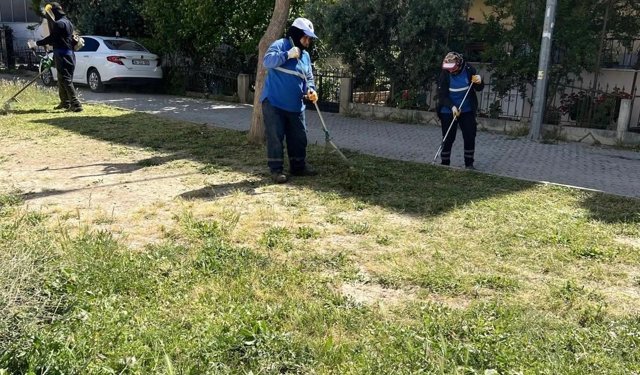 Didim Belediyesi'nin ilçe genelinde çalışmaları devam ediyor