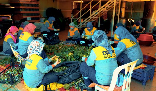 Didim Belediyesi’nin Doğal Ürünleri Halkla Buluşuyor