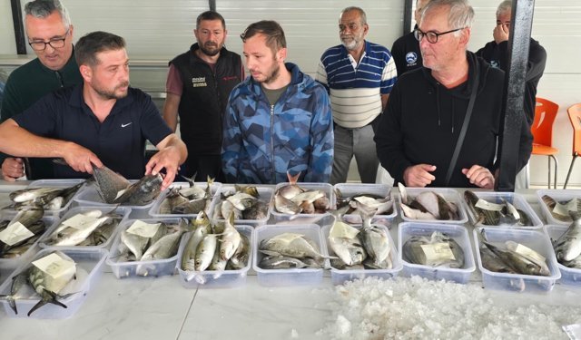 Didim’de balık mezatı yeniden başladı