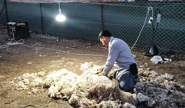 Germencikli Nazmi’nin baba mesleği, ek geliri oldu