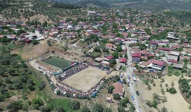 Germencik'te boğa güreşi festivali nefes kesecek: Festivalin ağası da belli oldu