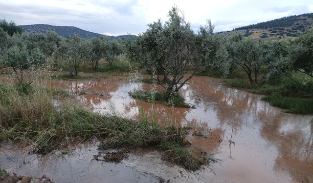 Her yağmurda aynı çile: Karacasu-Tavas yolu göle döndü