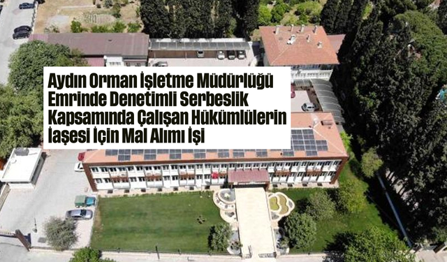Aydın Orman İşletme Müdürlüğü Emrinde Denetimli Serbeslik Kapsamında Çalışan Hükümlülerin İaşesi İçin Mal Alımı İşi