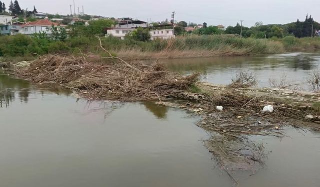 Aydın'da tehlike çanları çalıyor
