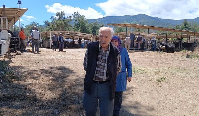 Tüketici de üreticiyi haklı buluyor: "Bu hayat pahalılığına göre ucuz bile"